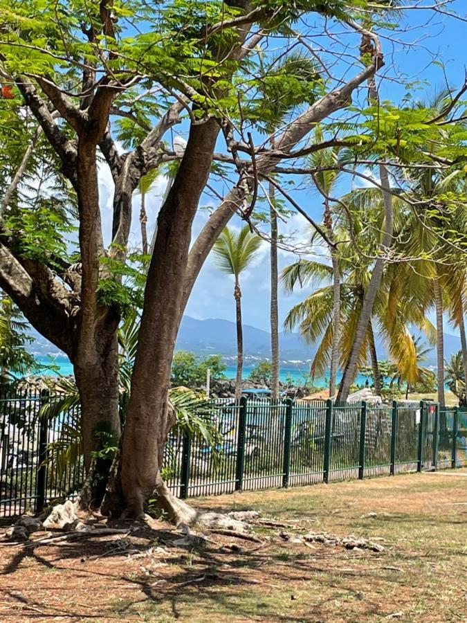 Cauris Lodge Du Marisol Vue Mer Acces Direct Plage Avec Citerne D Eau Le Gosier  Exteriör bild